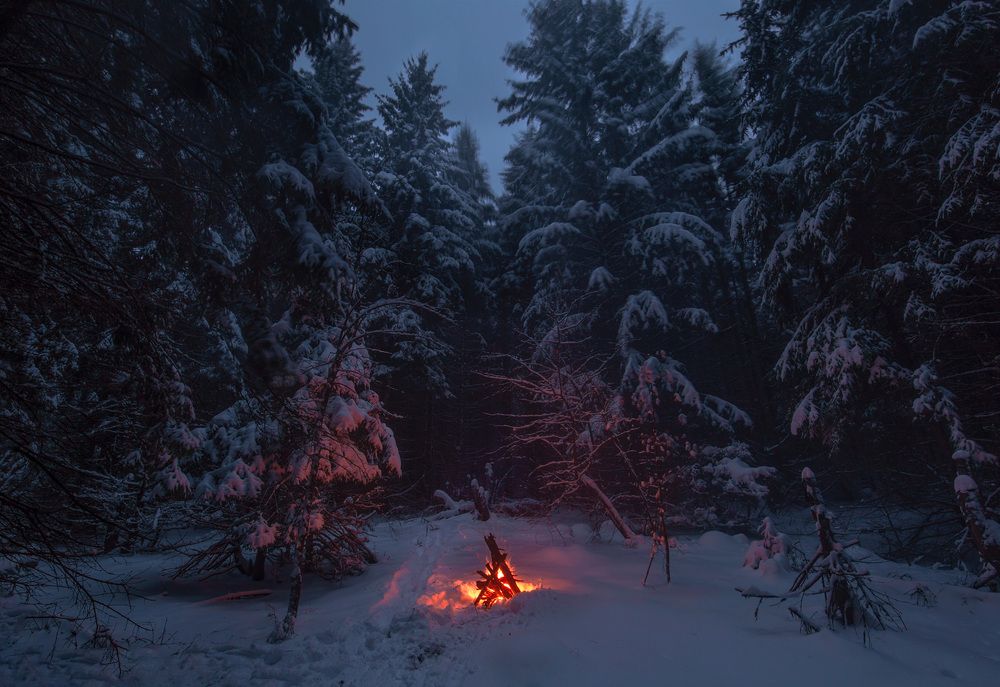 Метель и очаг в лесу