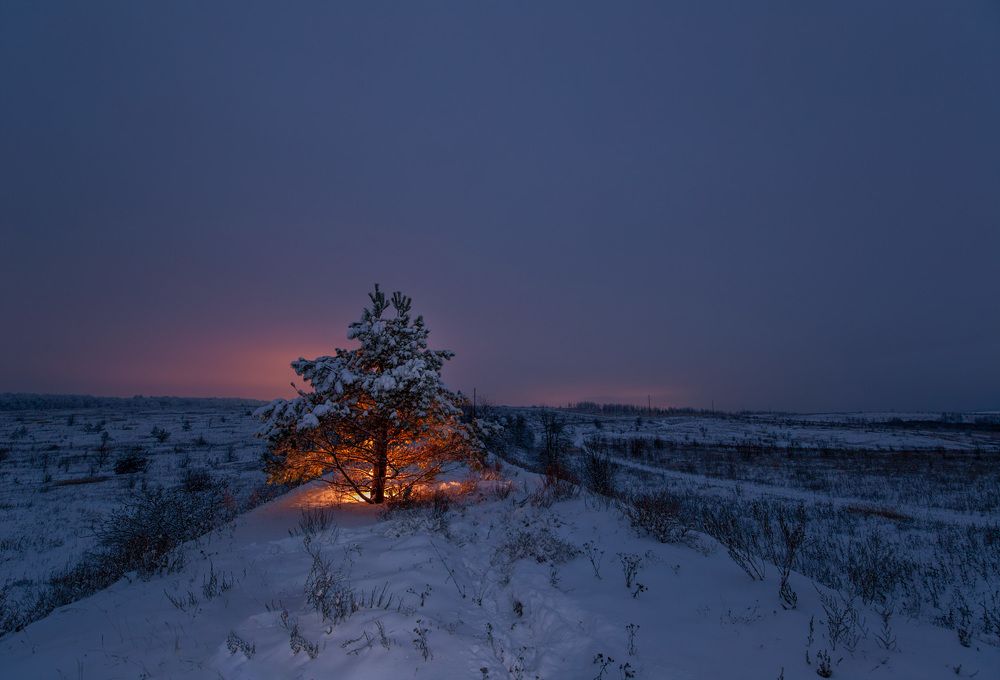 Декабрьский огонёк надежды