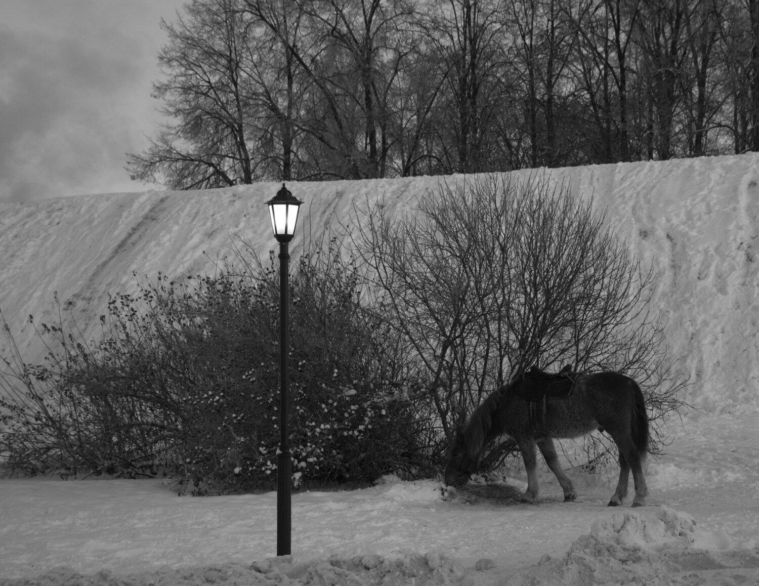 Winter_Зима