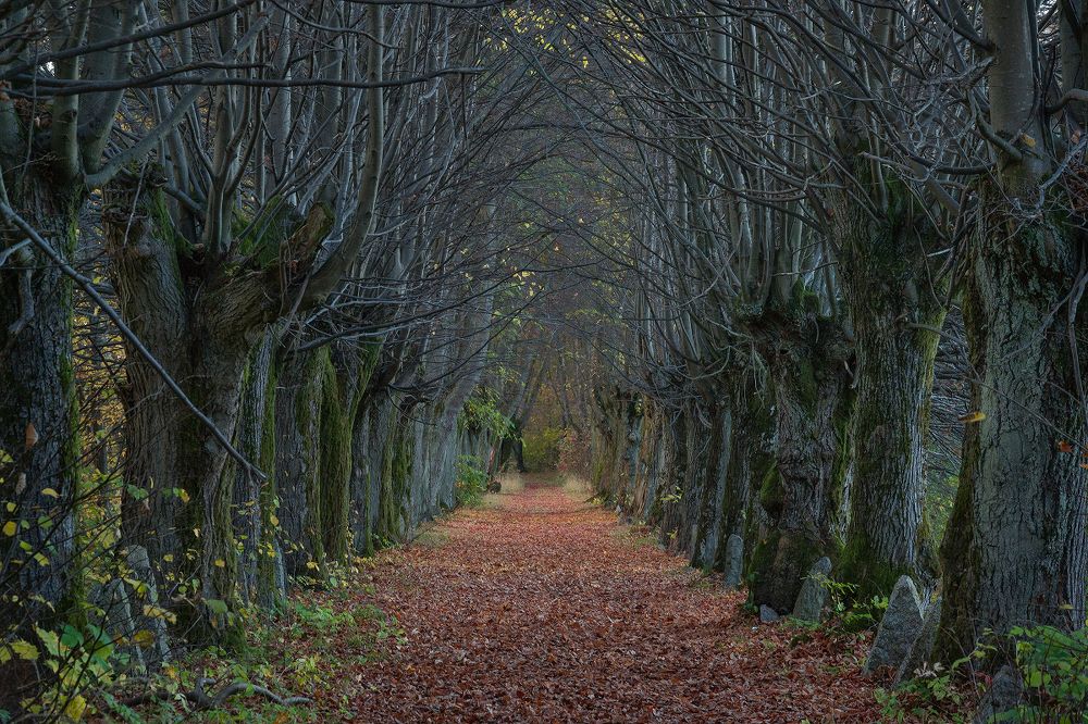Осень в Колосовке