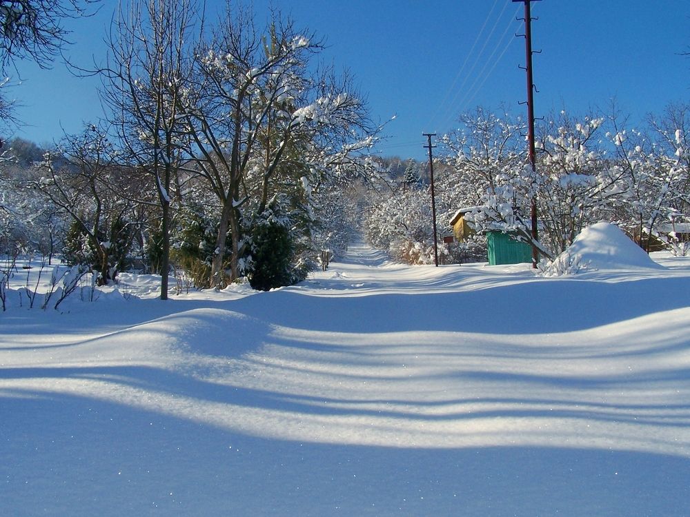 Полосатая чистота