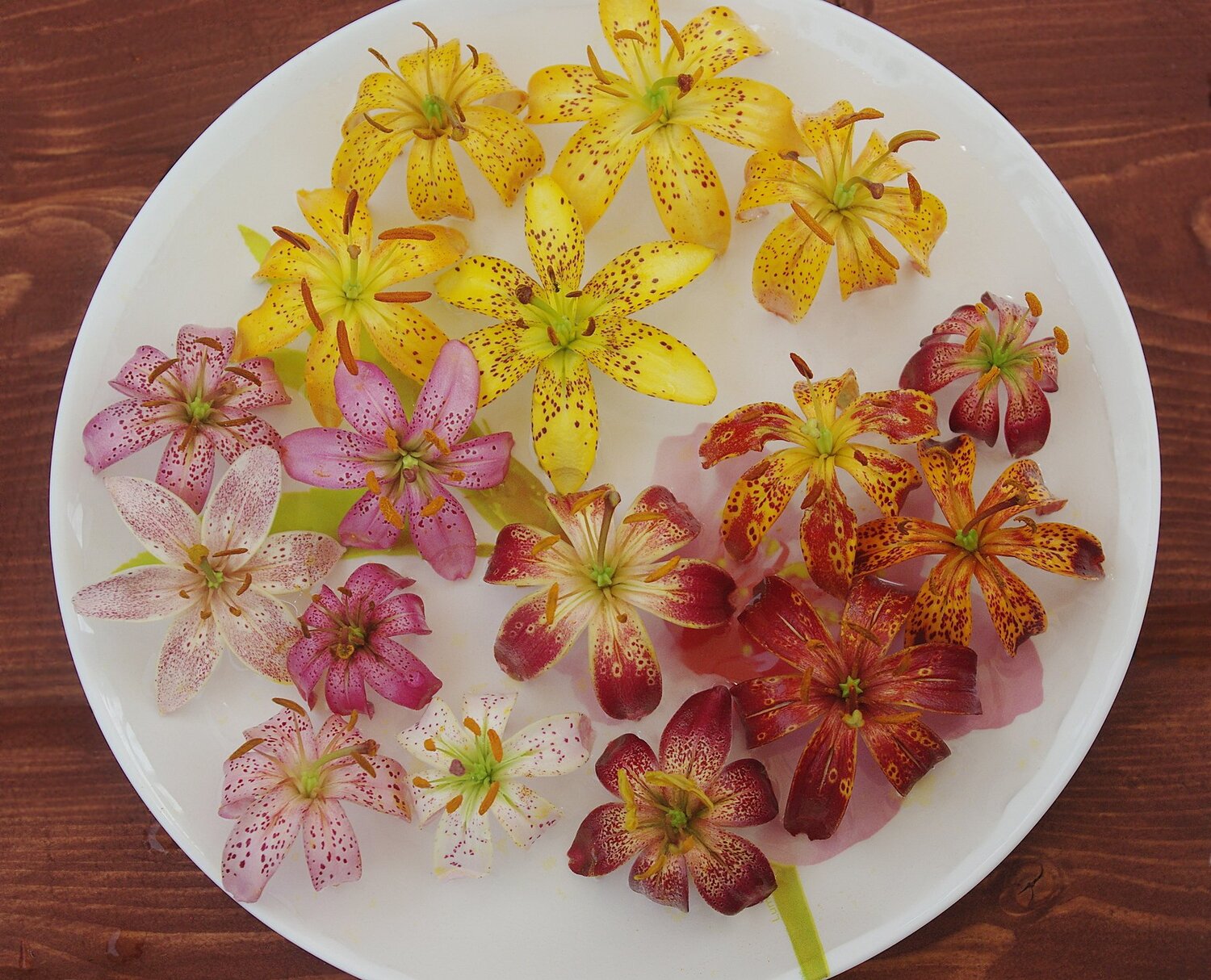 Photo #2778888