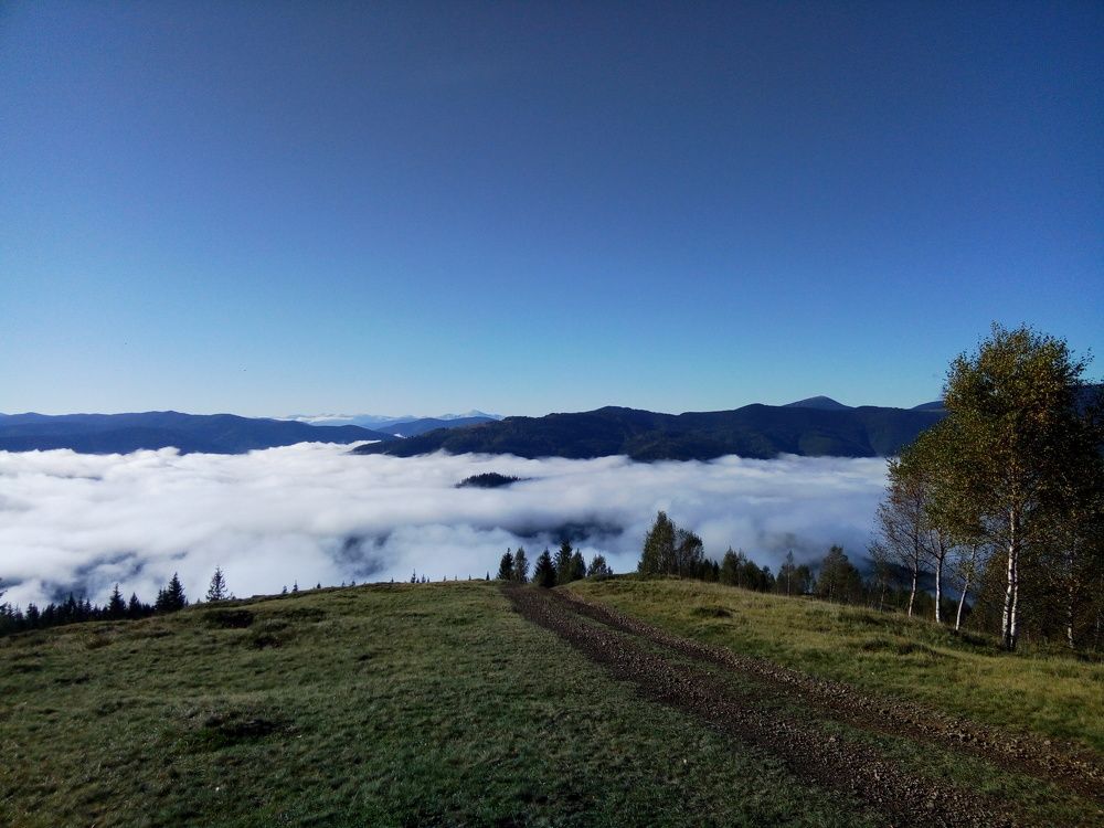 Karpaty