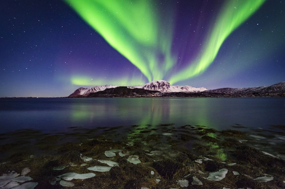 Lofoten aurora