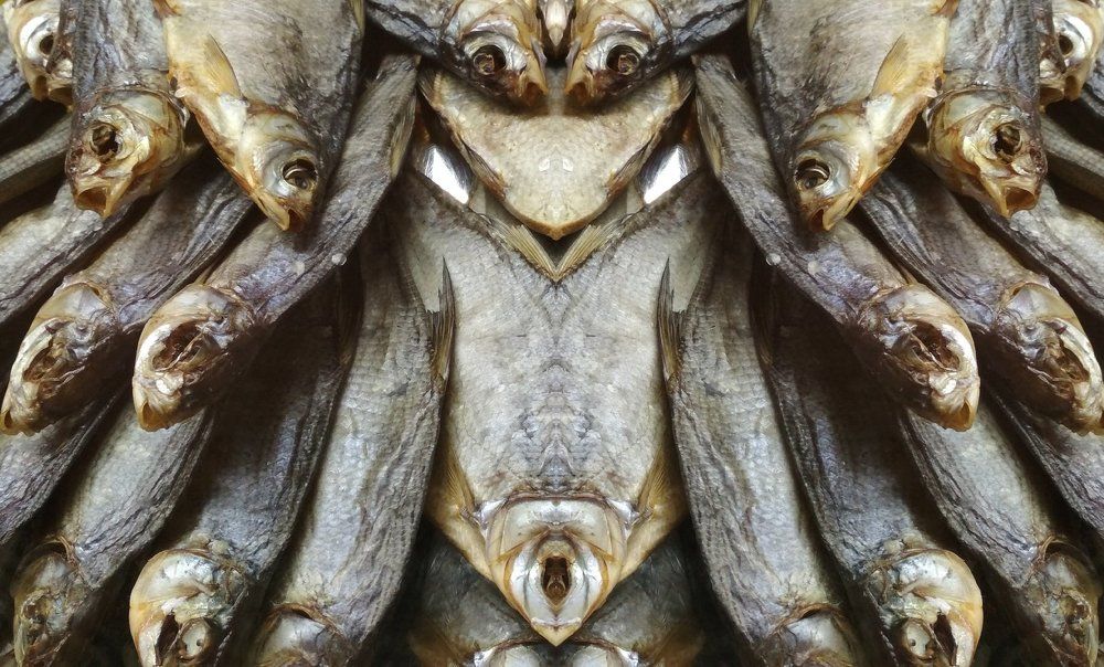 FoodFace