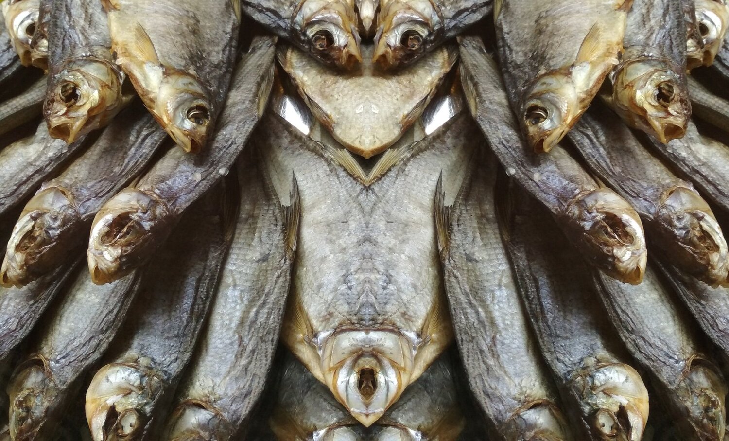FoodFace
