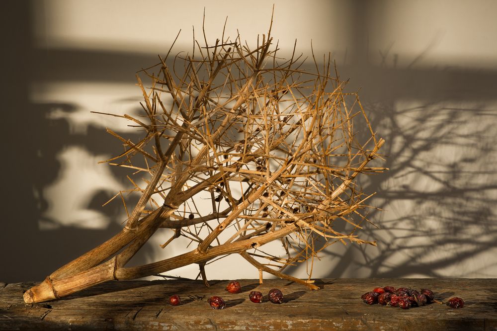 На солнышке