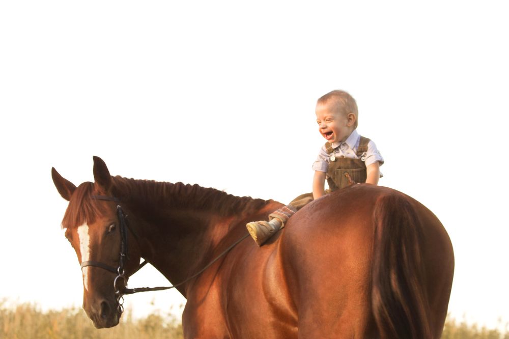 Первый раз на Лошадке