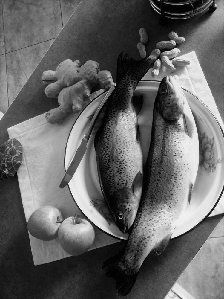 Натюрморт с форелью. Still life with trout
