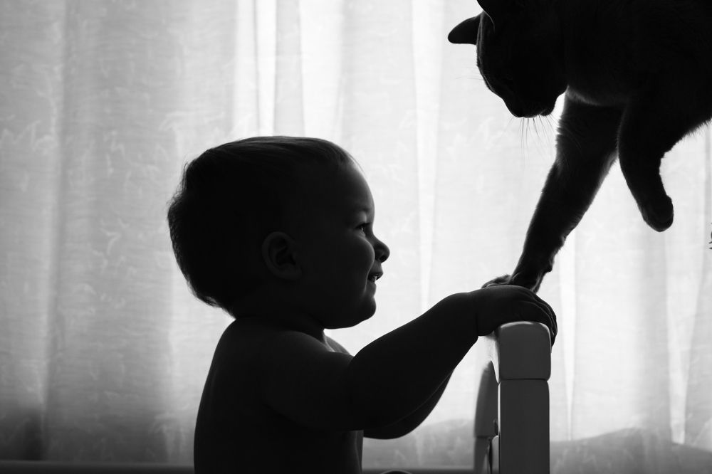 The best friends ever