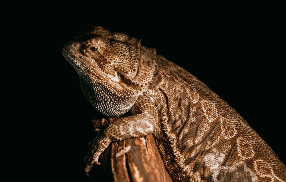 Photograph by Михаил Курихин