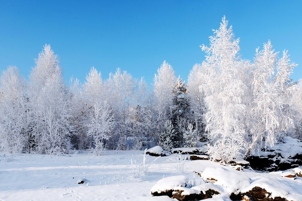 Морозный наряд