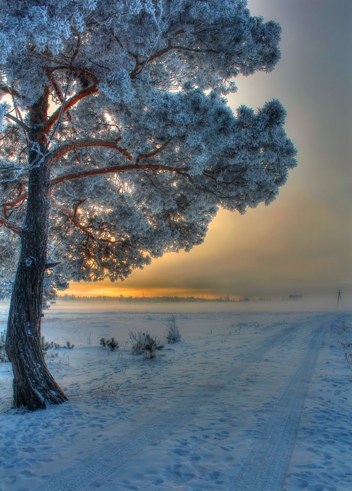 По дороге в закат