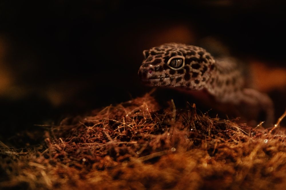 Photograph by Михаил Курихин