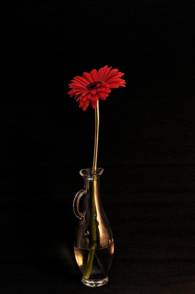 Цветочный натюрморт