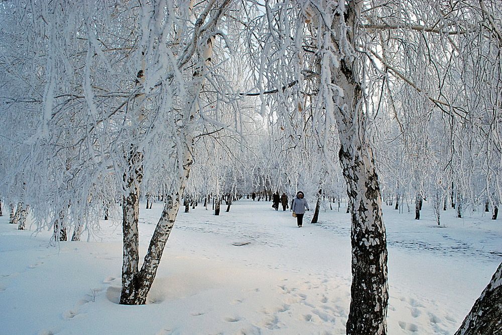 В городском парке