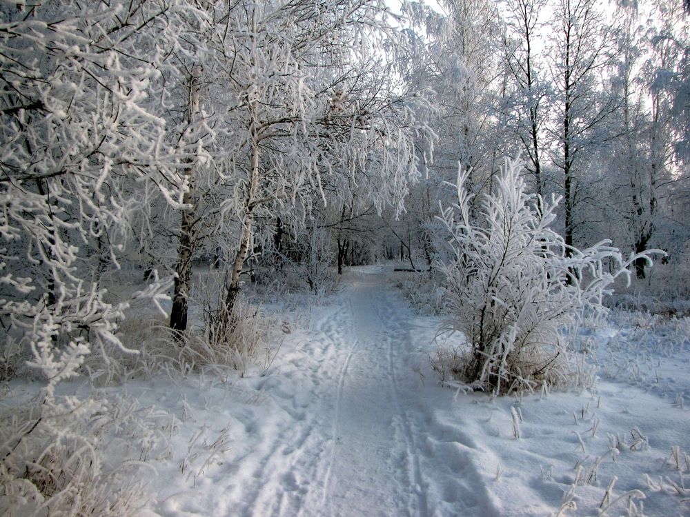 Морозно