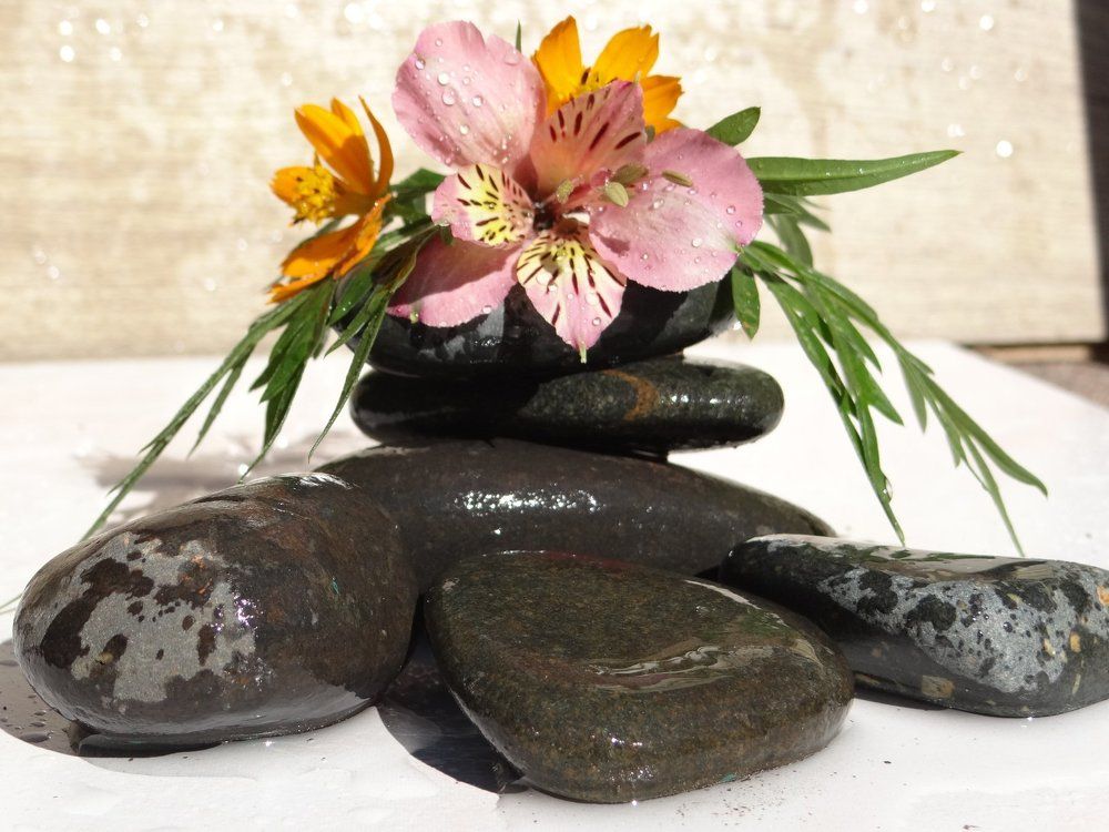 Цветы и камни