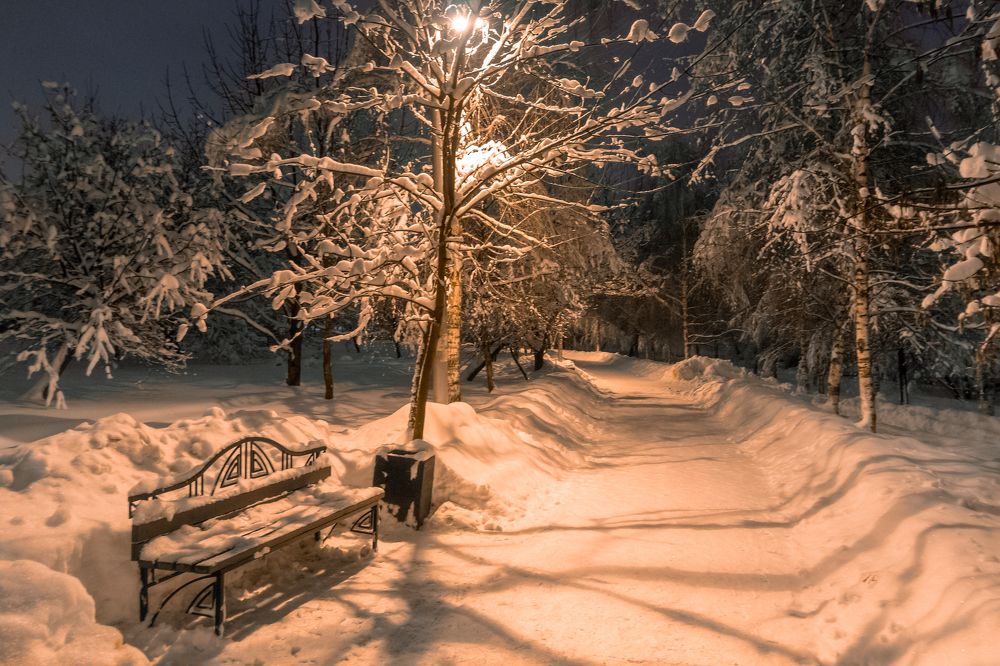 Одинокая лавочка