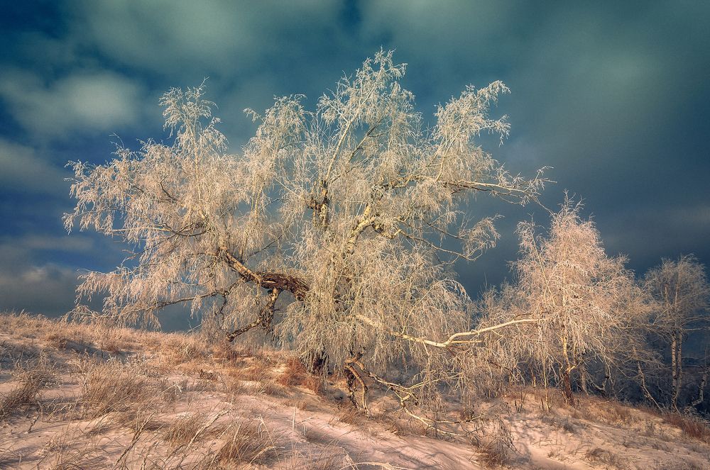 Зимой холодно тем, у кого нет тёплых воспоминаний.