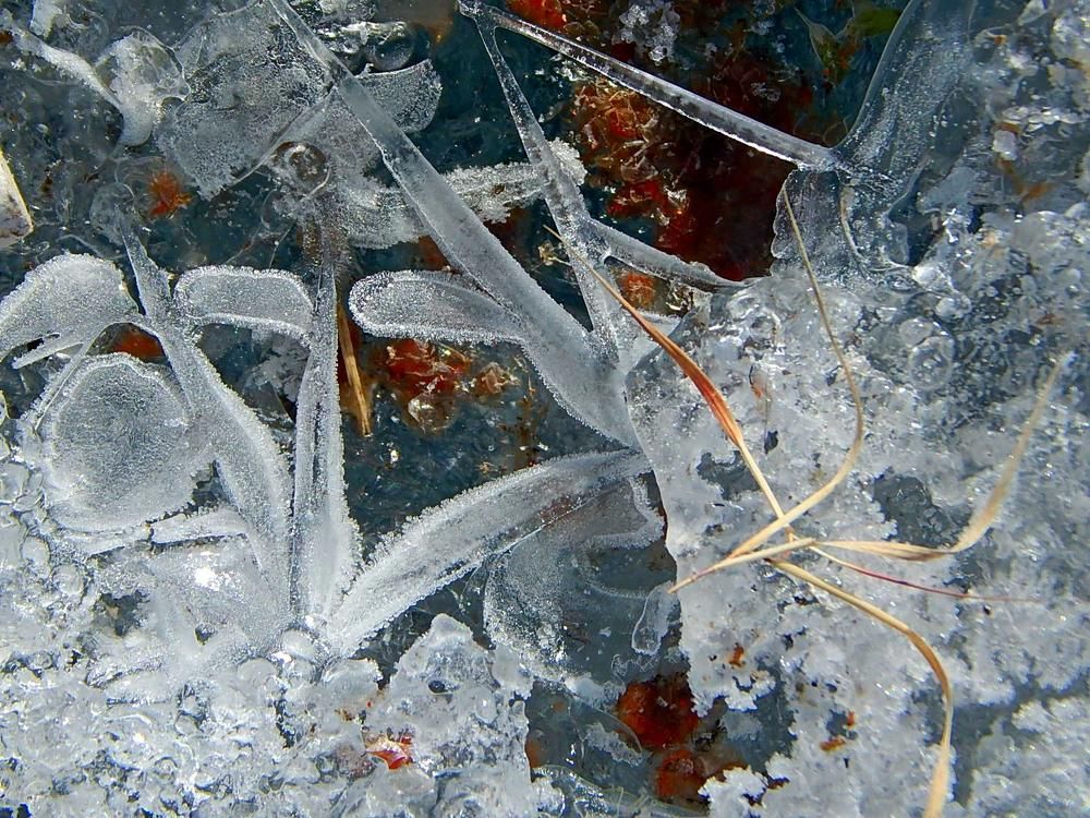 Морозные узоры