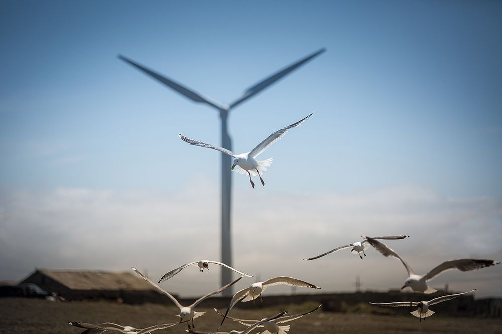 Ловцы ветра