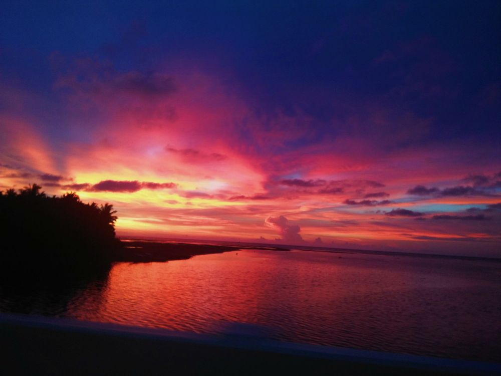 Pink Skies