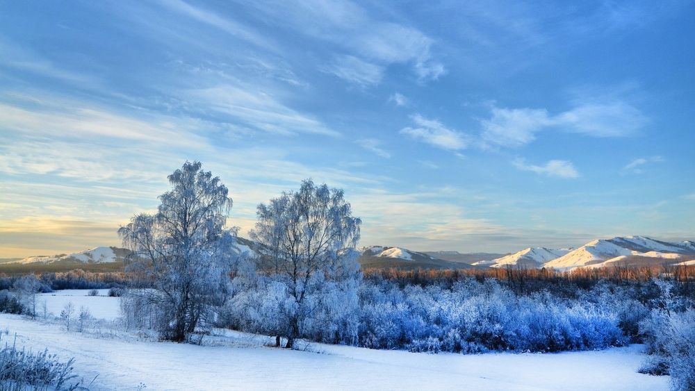 Предгорья, предснежья...
