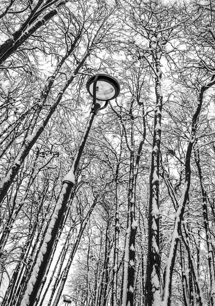 Photograph by Константин Лившиц