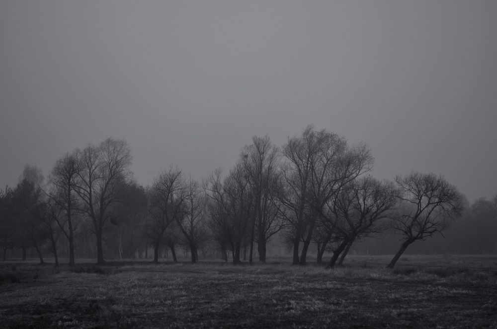 Осенний пейзаж.