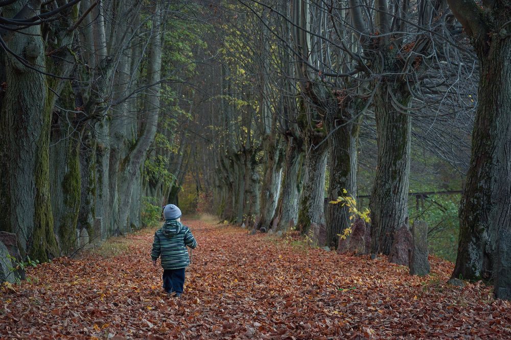 По тропинке осени