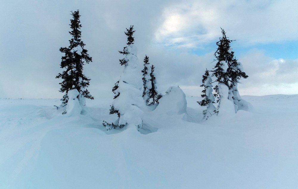 После пурги