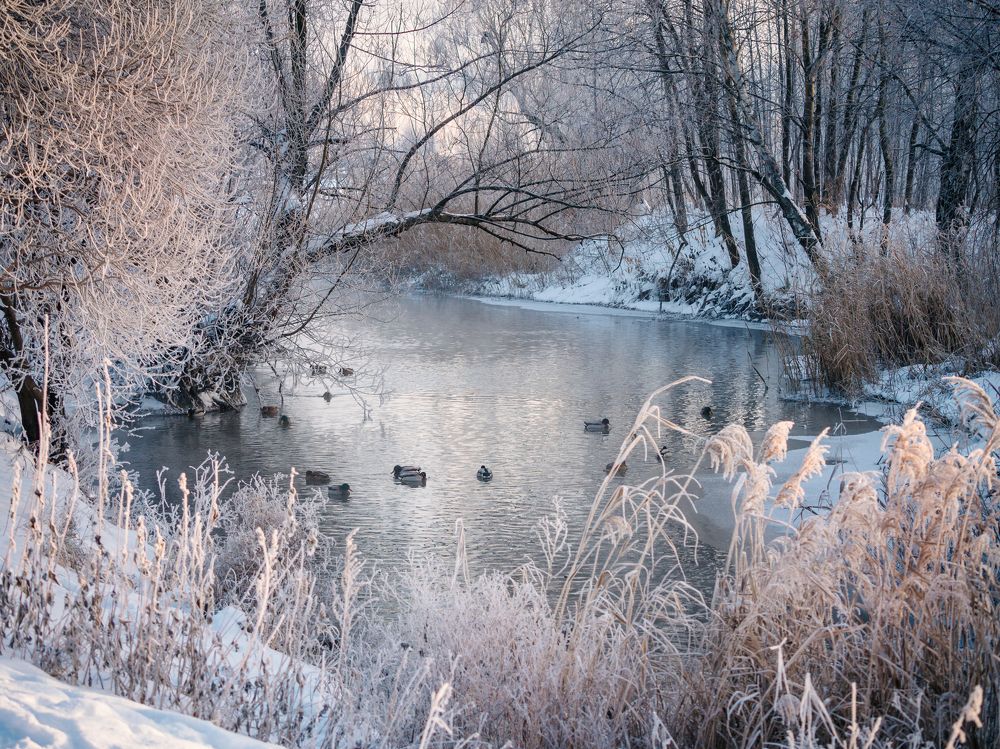 Зима московская