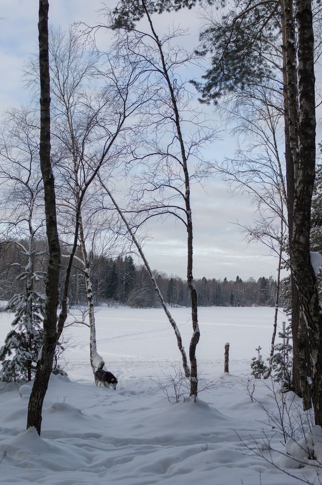 Кто-то в сером царстве синего разлил.
