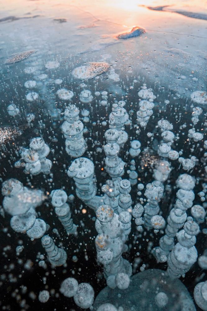 Хабаровский «Байкал»