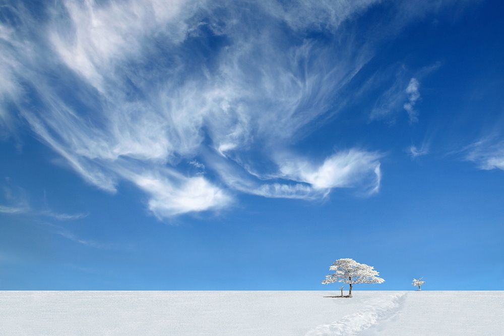 Степной простор