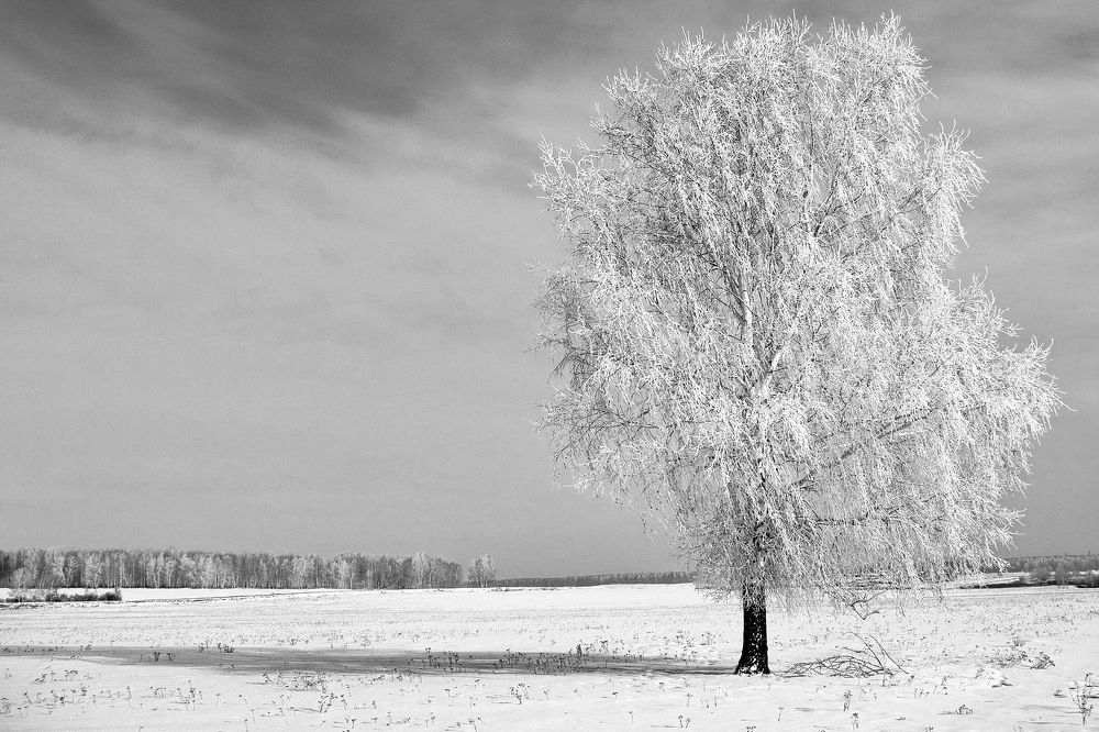 Холод и одиночество