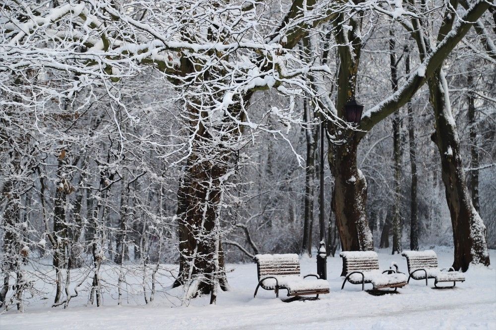 Зимний парк...