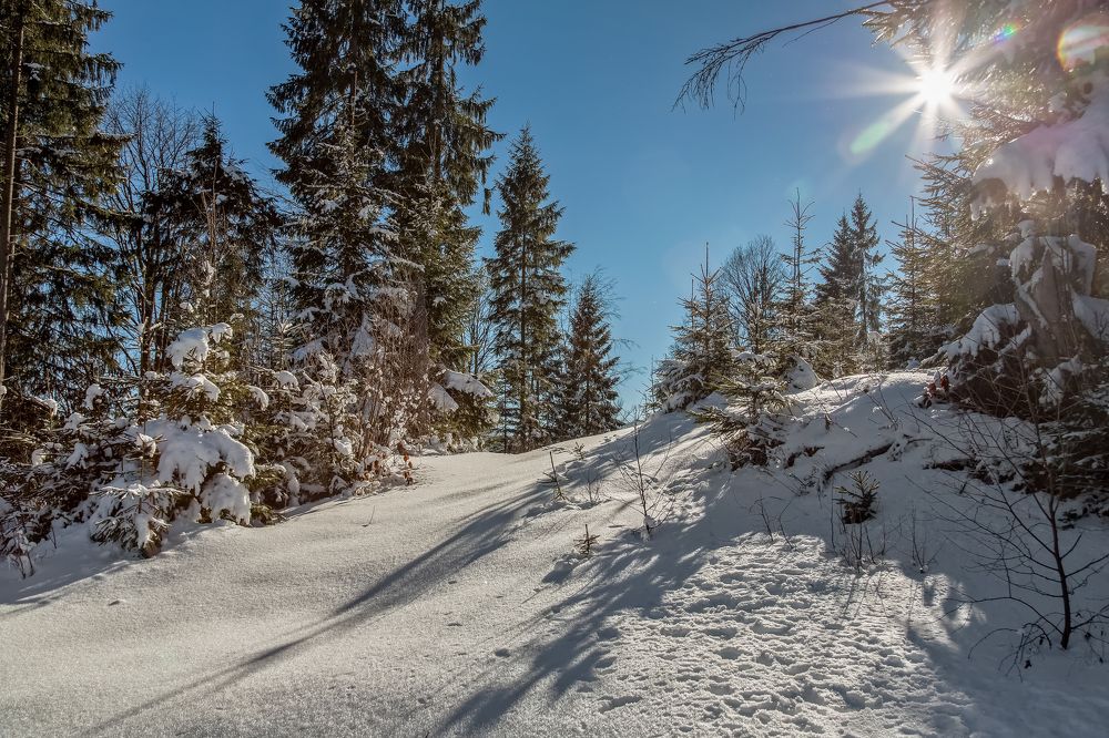 Зимние Карпаты.