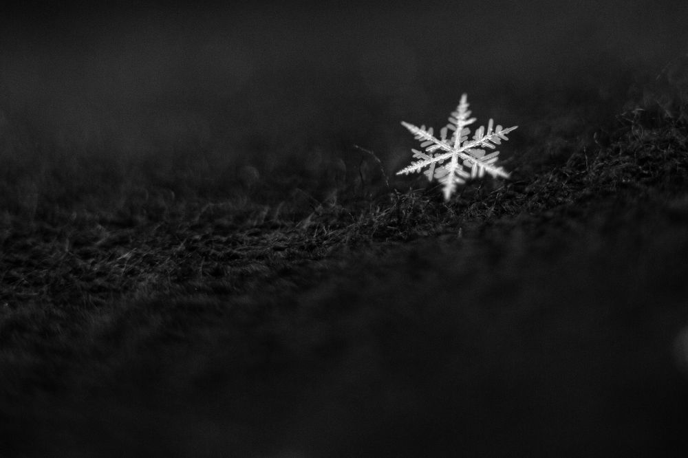 snowflake