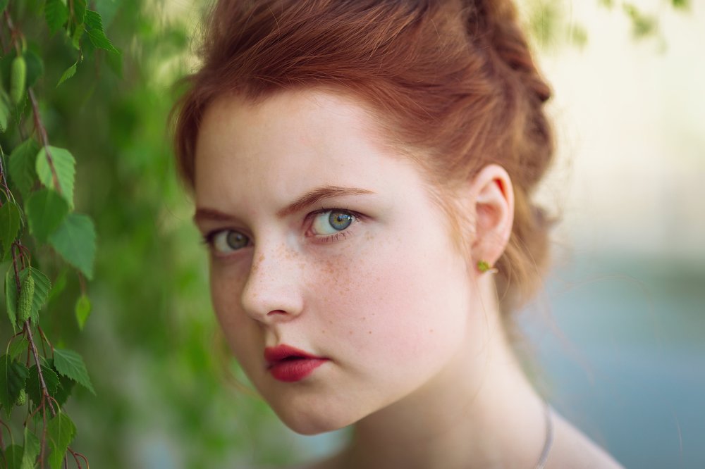 Фотография автора Алексей Чубов