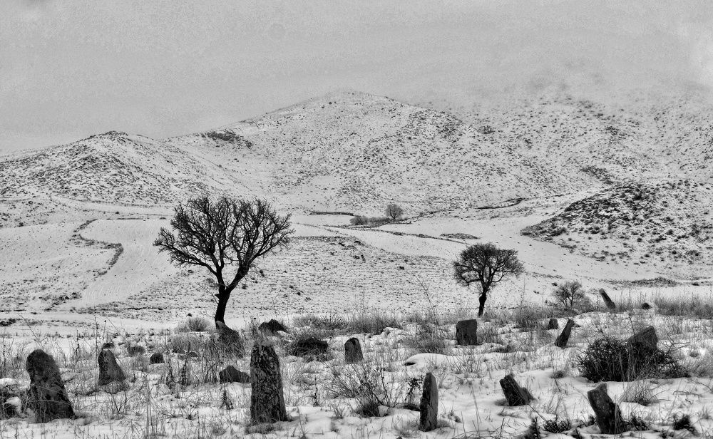 Tranquility of the dead