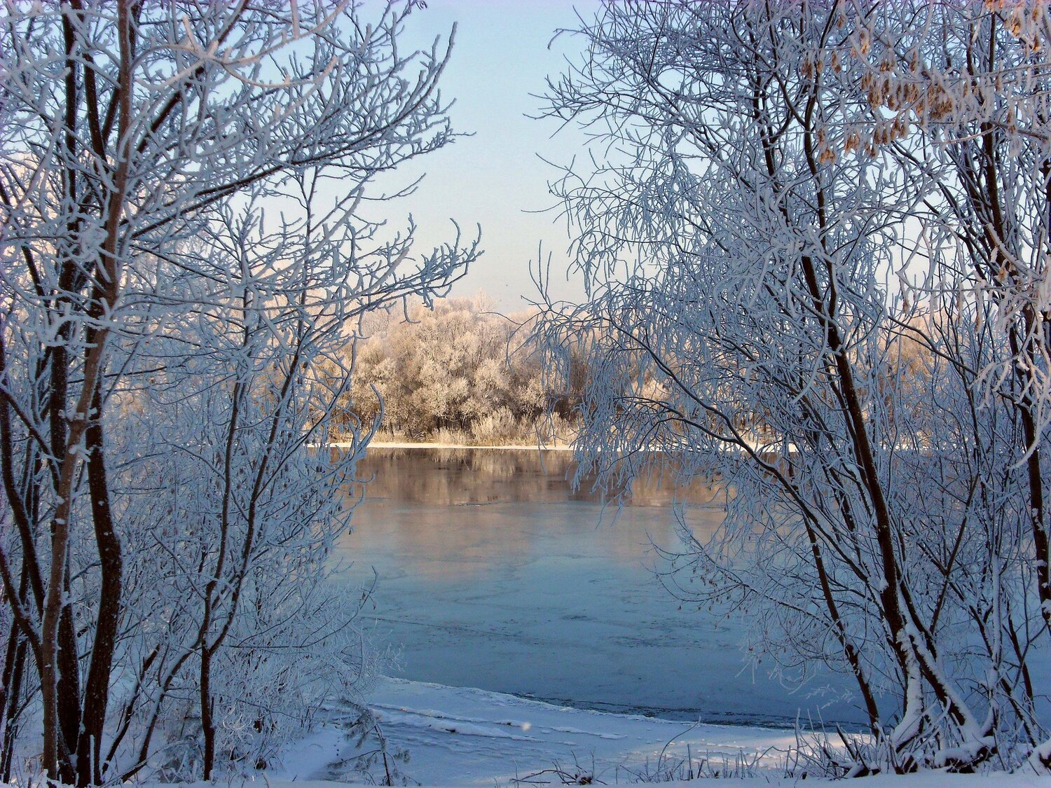 морозный день