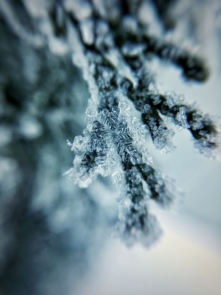 Photograph by Диана Нигматова