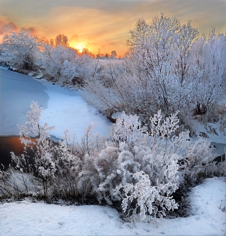 Букет для Снежной Королевы