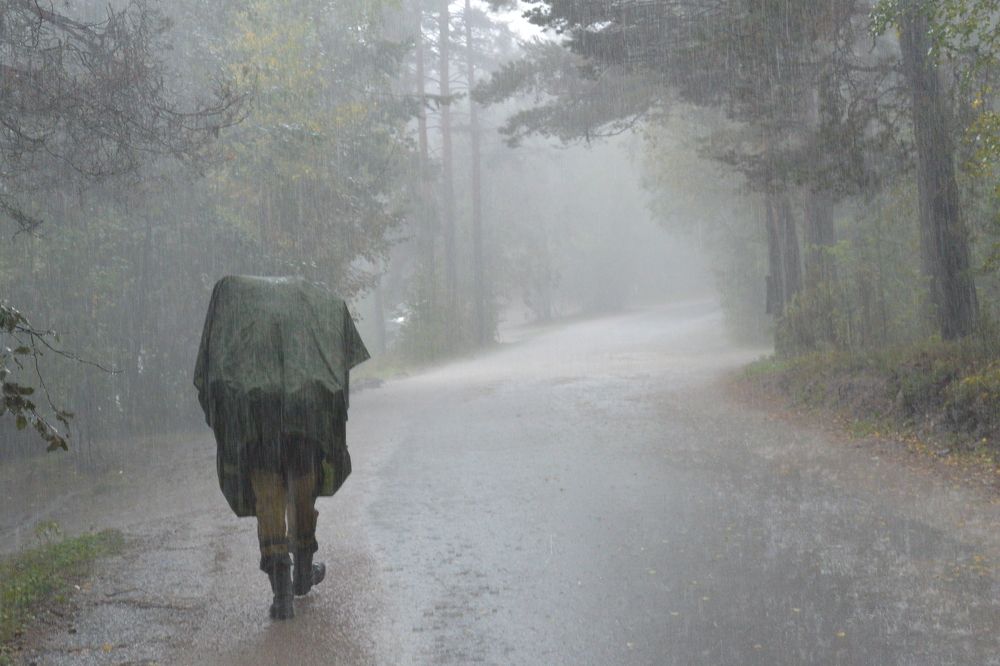 Фотография автора Dimitrii Aristoff