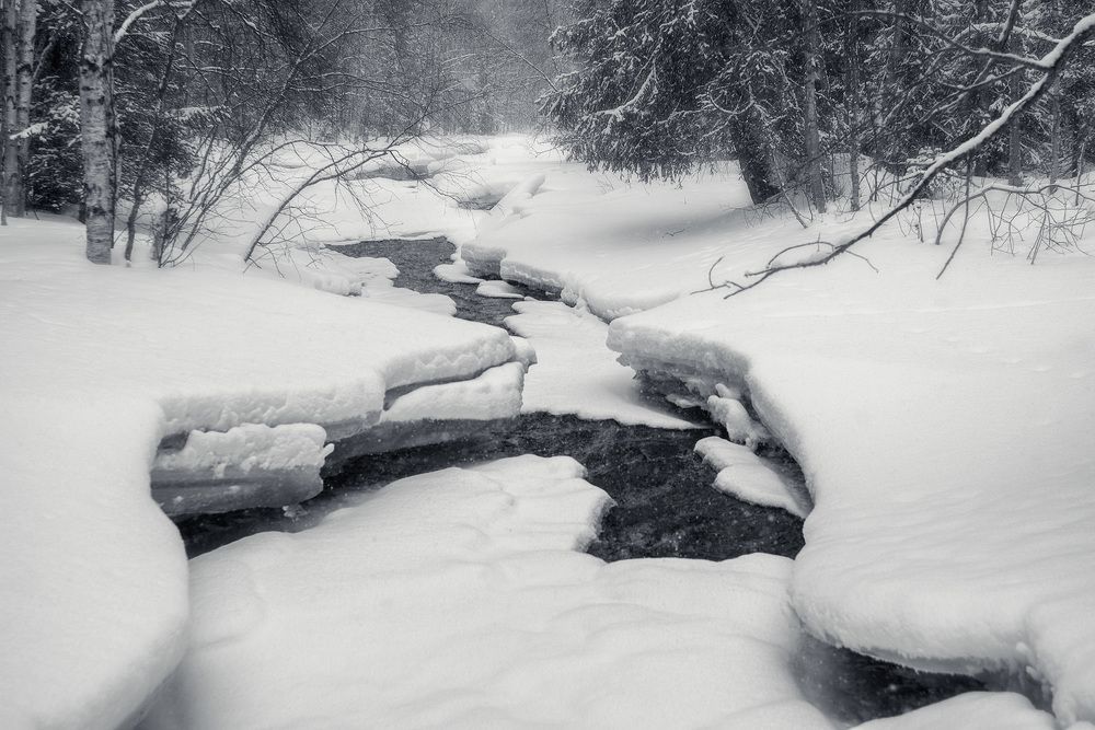 Архитектор зима