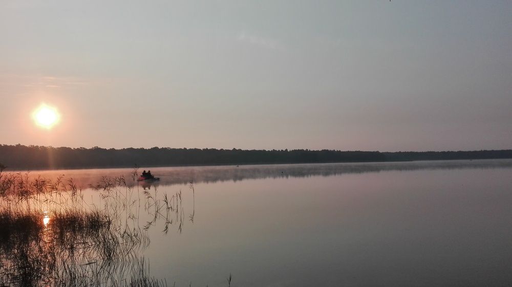 Photograph by Дмитрий Нестерович