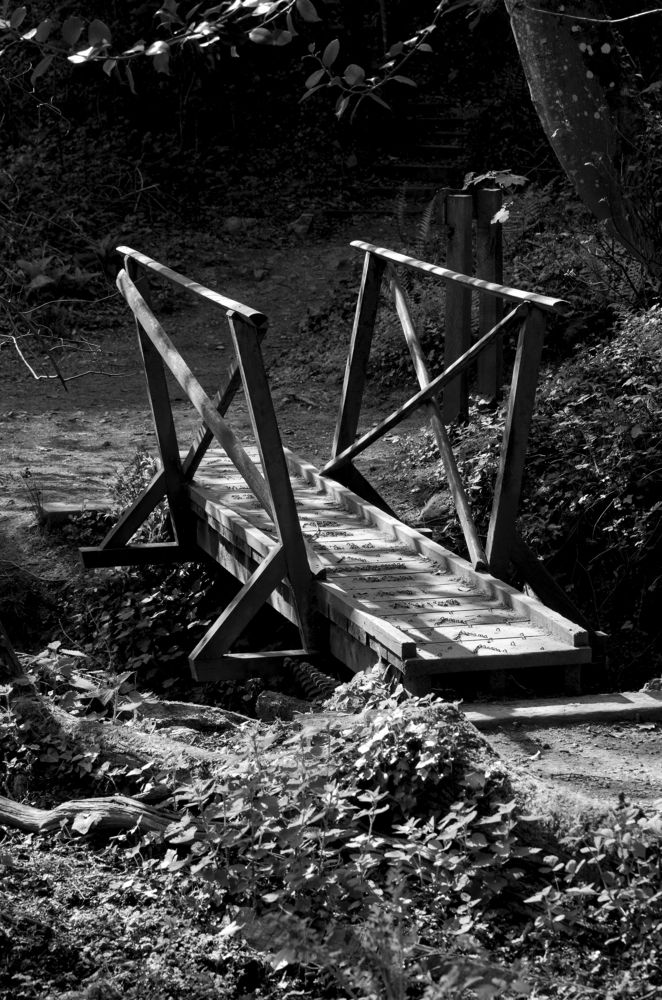 A bridge too far.