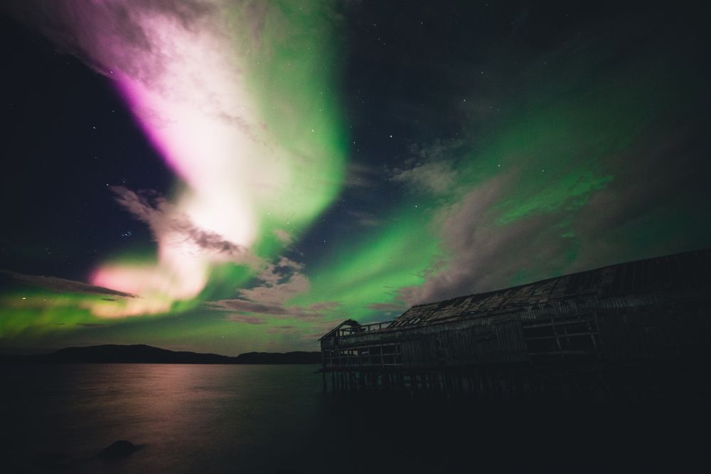 Photograph by Daniil